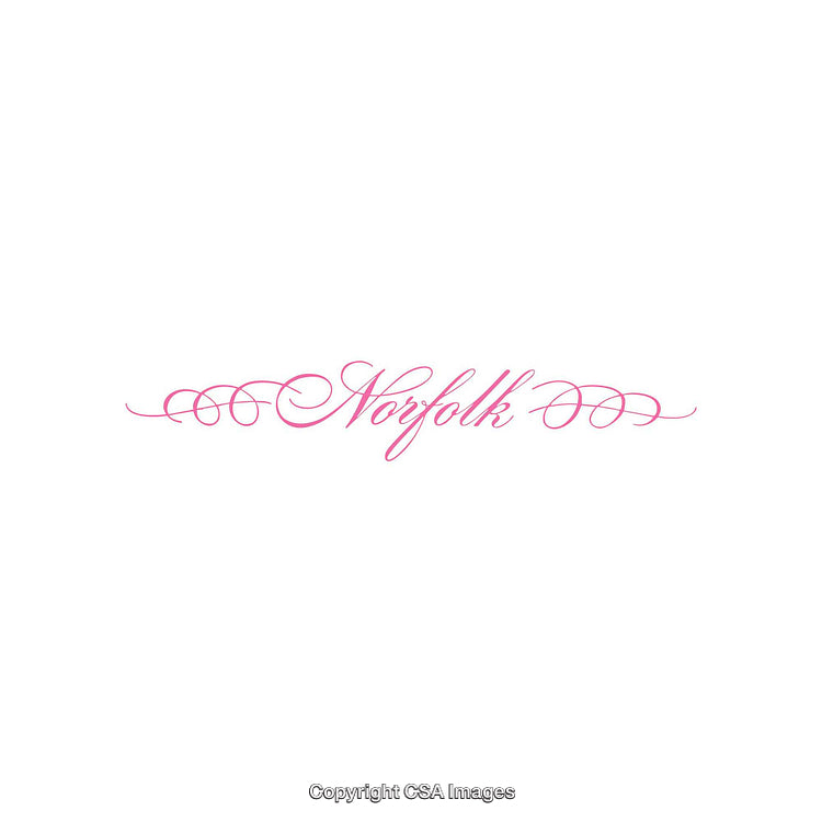 Elegant Pink Calligraphy Featuring the Word Norfolk on White Background