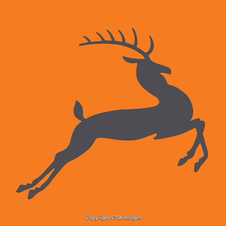 Silhouetted Deer Illustration Against Bright Orange Background