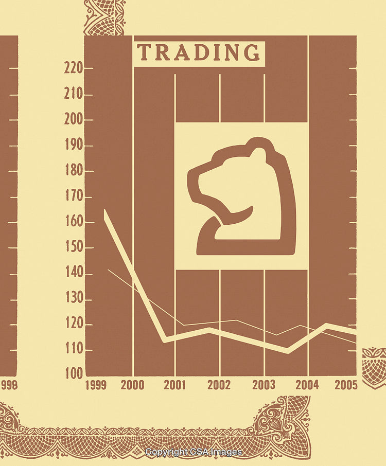 Bear Stock Market