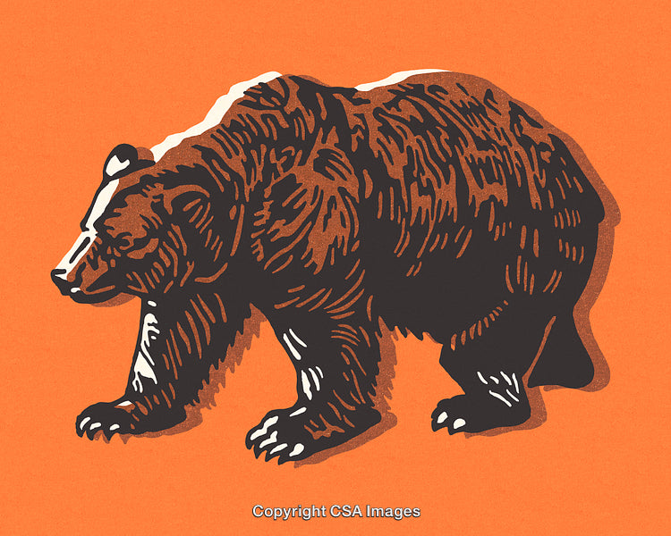 Retro Illustration of a Bear in Vibrant Orange Background