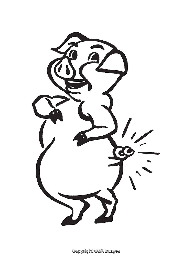Funny Cartoon Pig Line Art With Comedic Expressions