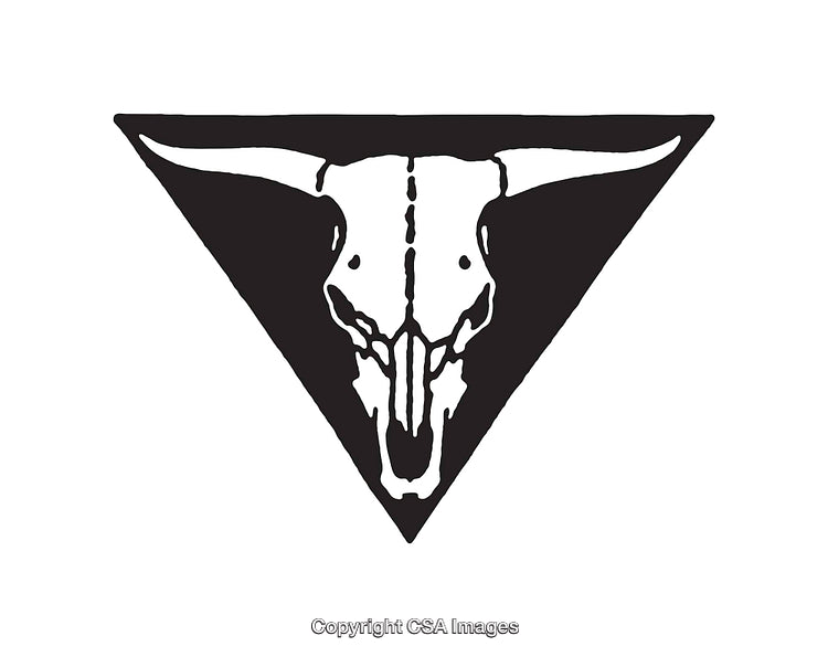Illustrative Black and White Bull Skull in Triangular Frame