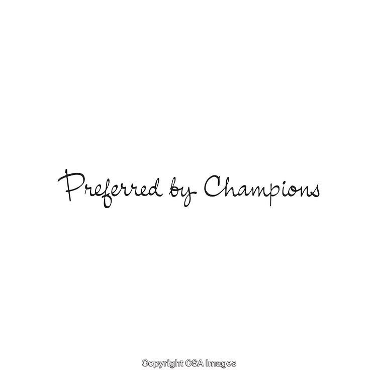 Elegant Handwritten Text Quote Promoting Excellence and Success