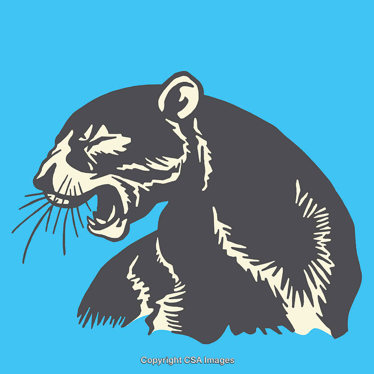 Colorful Graphic Illustration of a Fierce Panther Profile on Blue Background