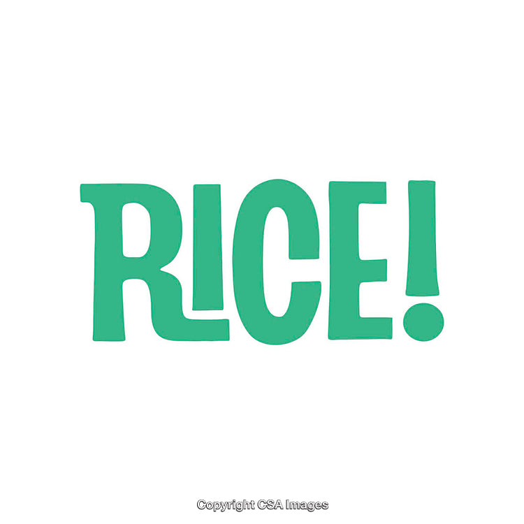Bold Green Stylized Text Inscription the Word Rice Isolated on White Background