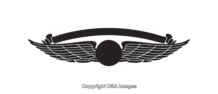 Stylized Black and White Winged Emblem Graphic Design Illustration