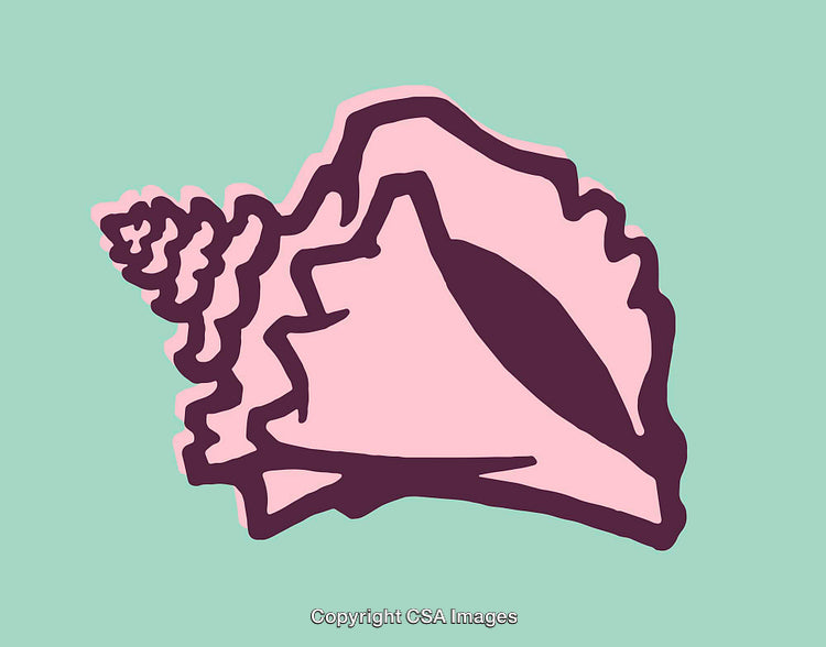 Abstract Stylized Line Art of a Shell with Vibrant Colors