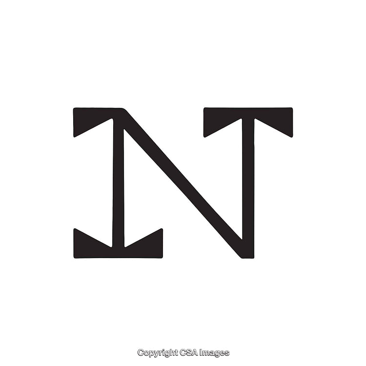 Black Stylized Letter N With Geometric Features on White Background
