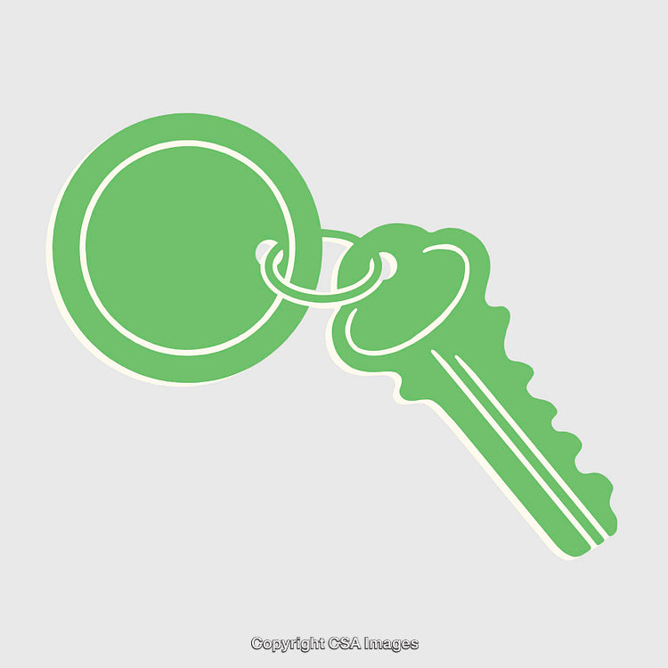 Green Key with Circular Keyring on Light Background Illustration
