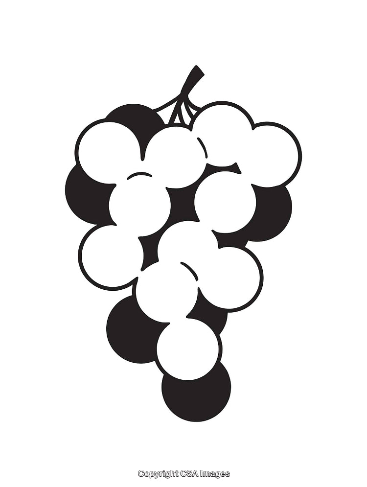 Black and White Illustration of a Grapes Bunch with Simple Line Art