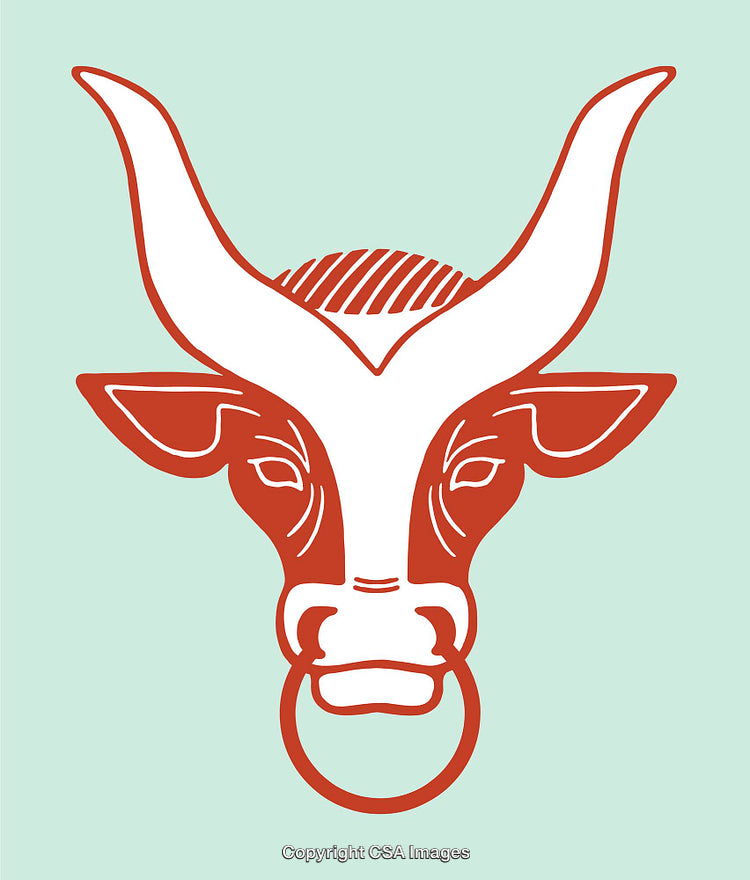 Colorful Line Art Illustration of a Decorative Bull Head with Ring