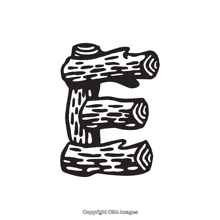Rustic Wood-Textured Letter E on White Background