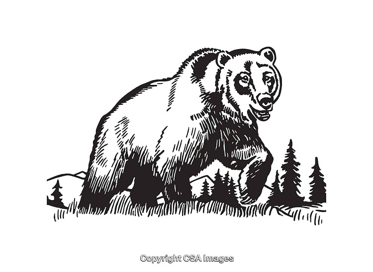 Detailed Black and White Bear Line Art in Forest Setting