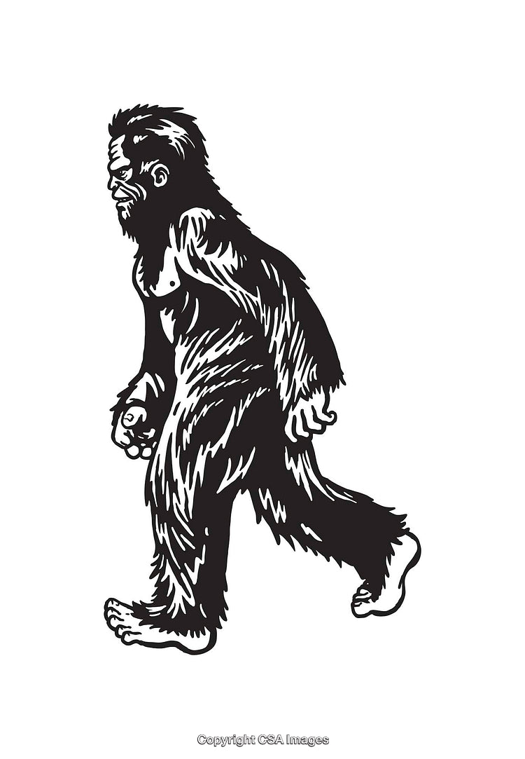 Black and White Line Art Illustration of a Mythical Sasquatch