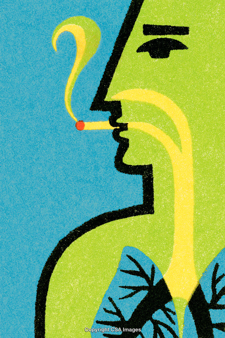 Graphic Depiction of Smoking Adversely Affecting Lungs and Airway Health