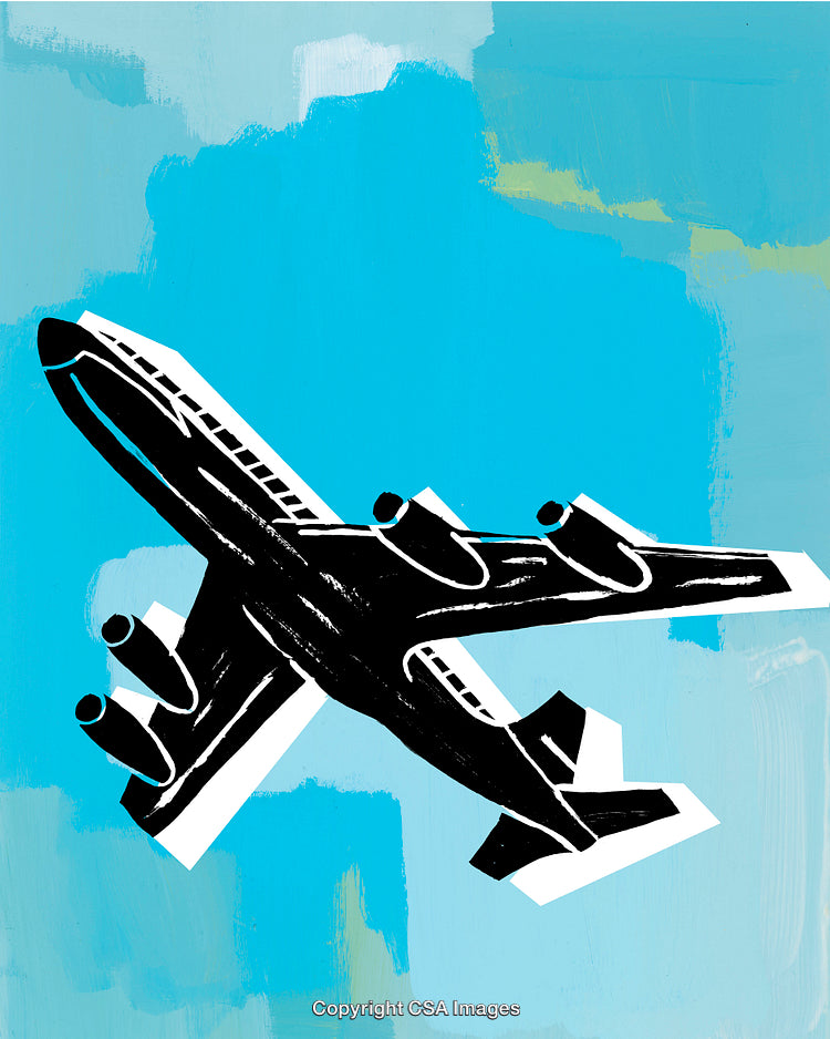 Airplane in Flight