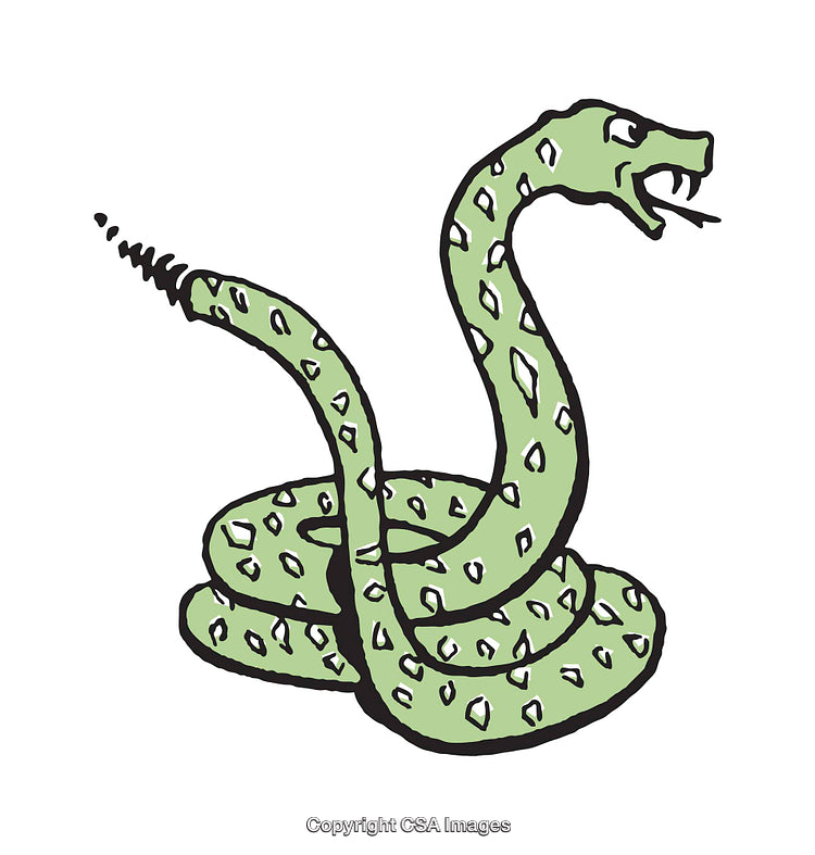 Vibrant Illustration of a Coiled Snake with a Spiraled Tail