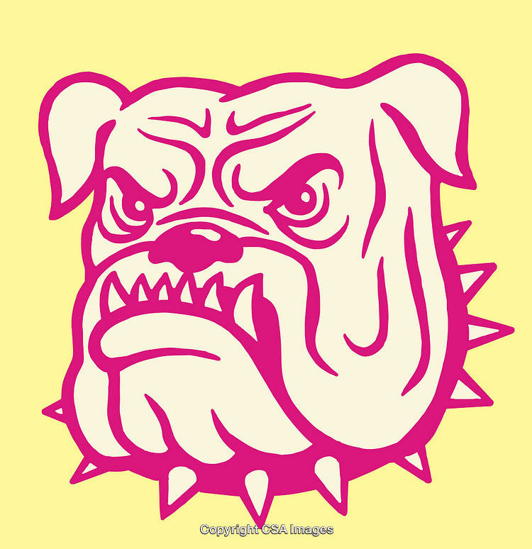 Bold Illustrated Bulldog With Spiked Collar in Vibrant Colors