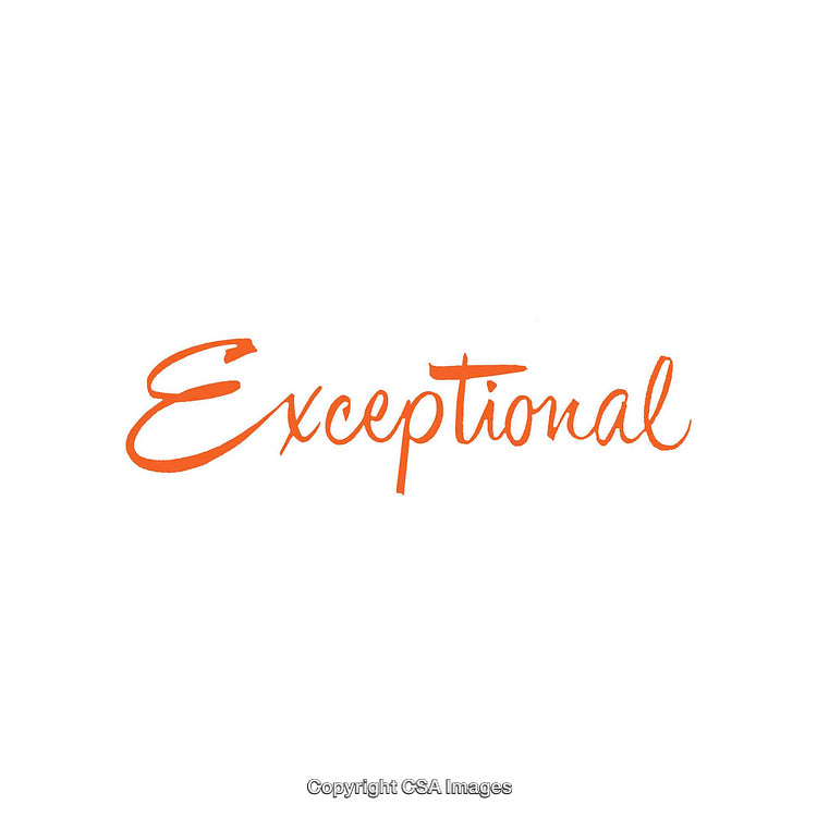 Exceptional Calligraphy Text in Bold Orange Against White Background