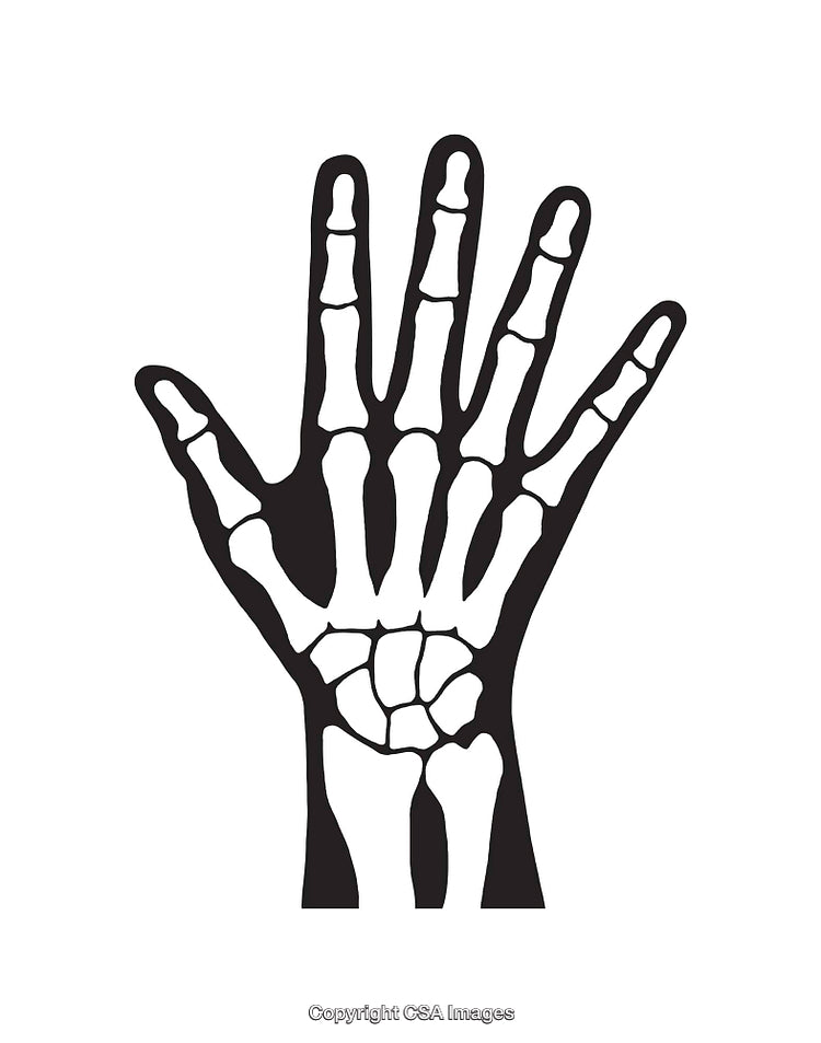 Black and White Line Art Illustration of a Hand Skeleton