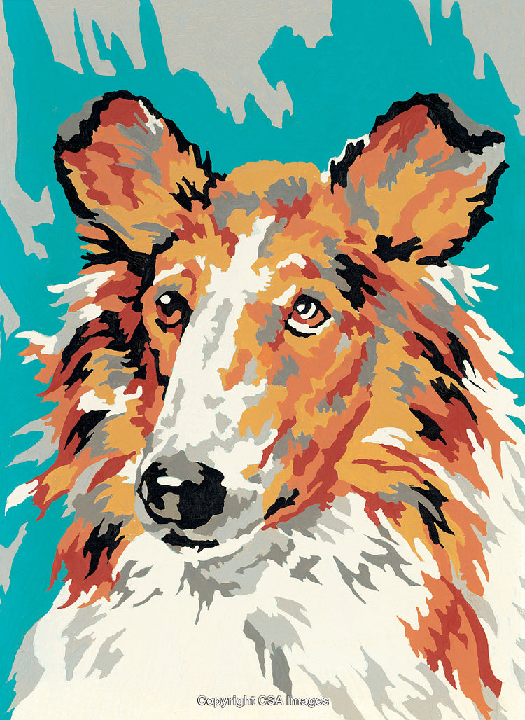 Paint By Numbers Collie Dog Illustration with Vivid Colors and Details