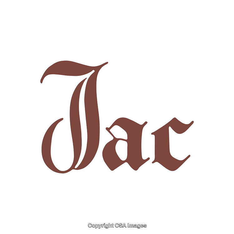 Elegant Typography Design with Ornate Brown Font on White Background