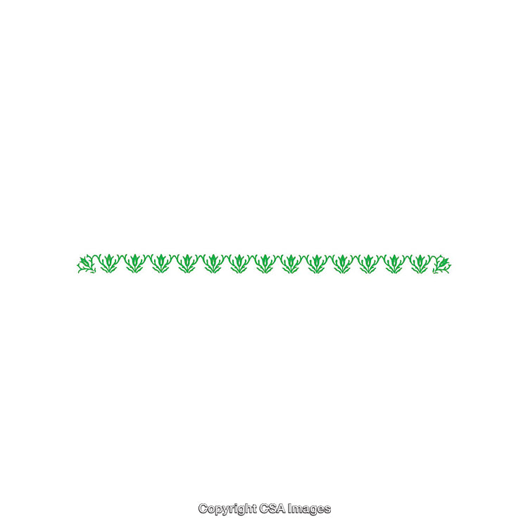 Seamless Green Floral Border Design on a White Background