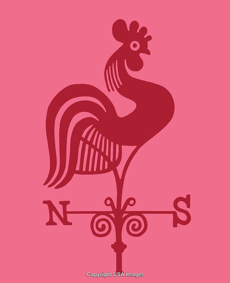 Vintage Red Rooster Weathervane Illustration on Pink Background