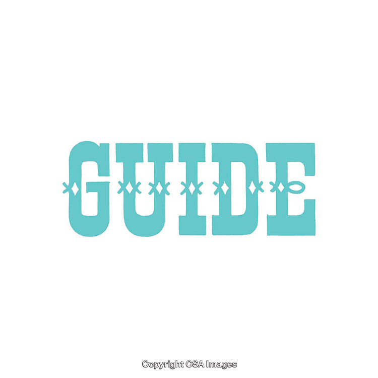 Guide Typography in Teal on White Background With Ornamental Detailing