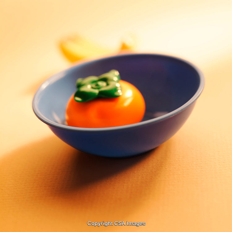 Colorful Plastic Toys Including Orange Fruit in a Blue Bowl