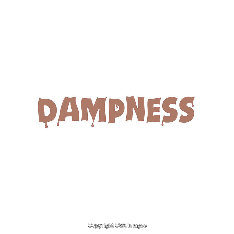 Creative Text Featuring the Word Dampness in a Dripping Typography Style