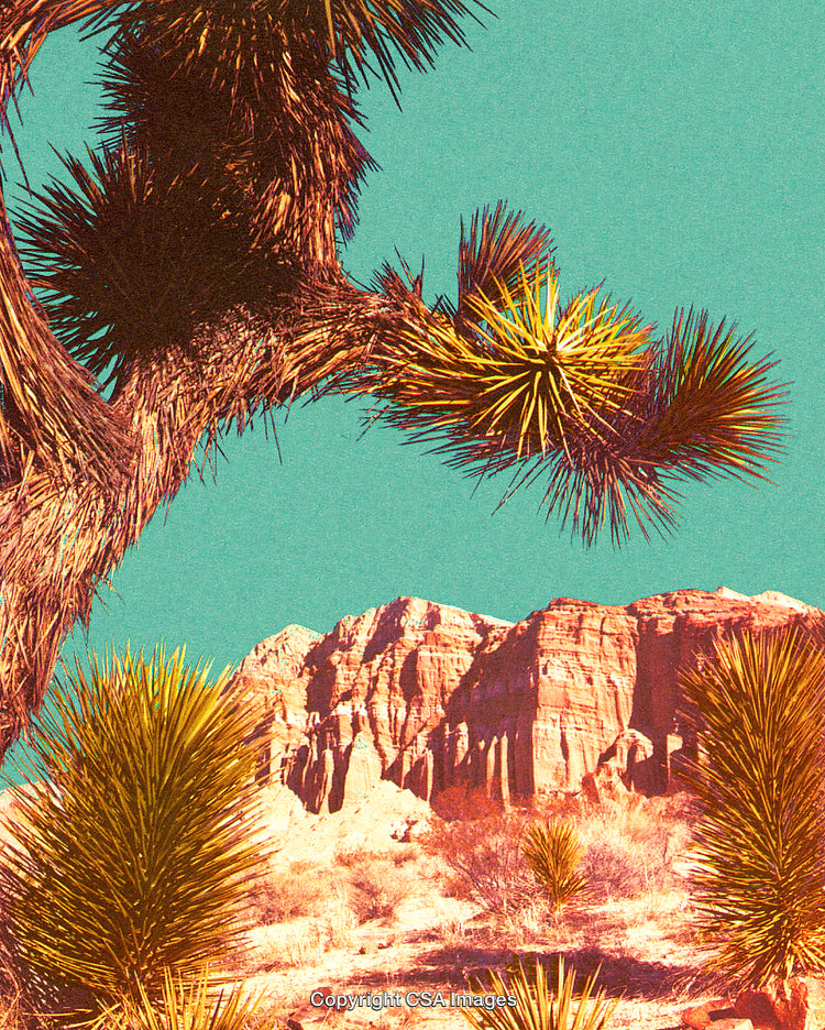 Vintage Stylized Desert Landscape Featuring Yucca Trees and Rocky Formations