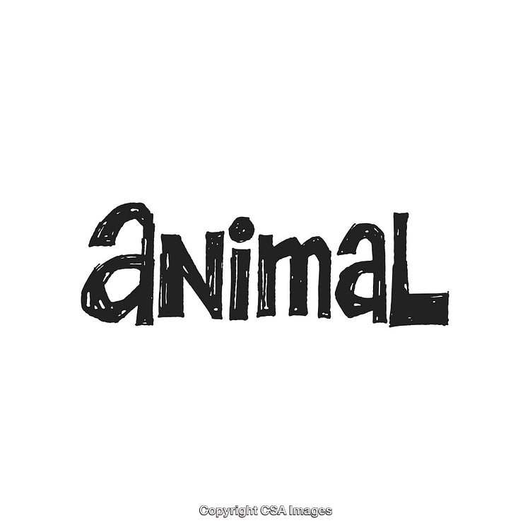 Handwritten Text Logo Featuring the Word 'Animal' in Artistic Style
