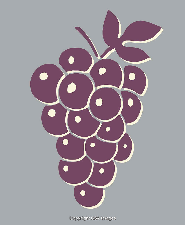 Stylized Purple Grapes Illustration on a Solid Background