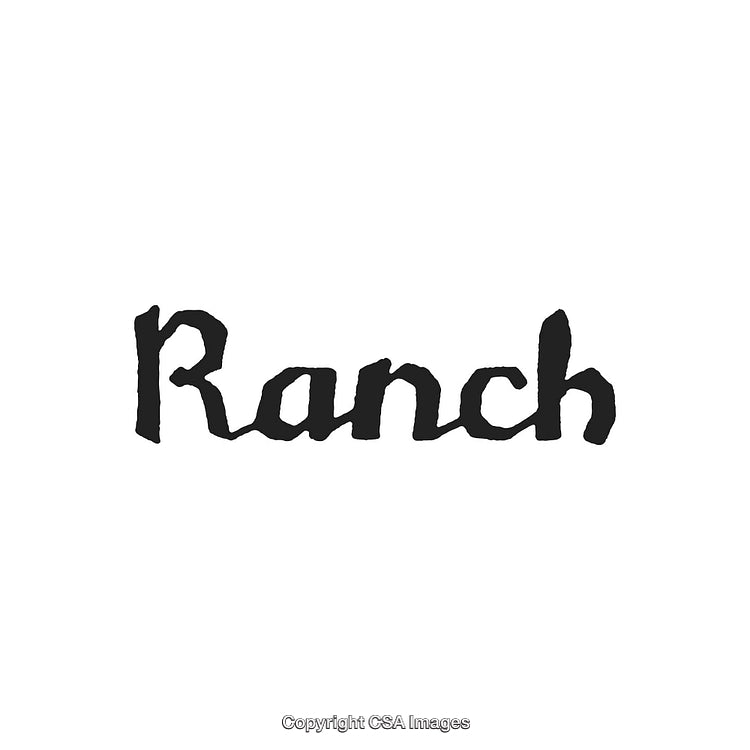 Minimalist Design Featuring the Word Ranch in a Rustic Handwritten Typeface