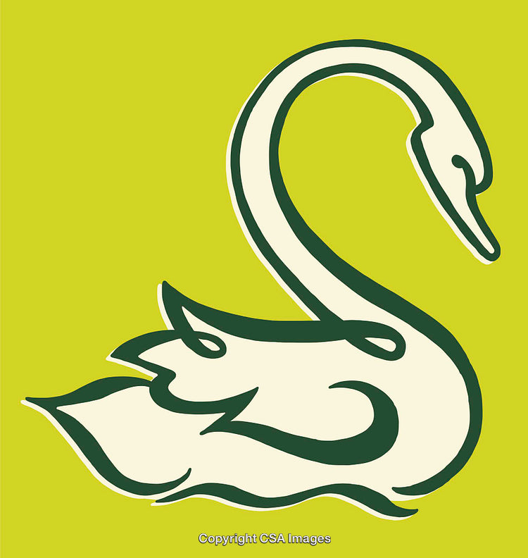 Elegant Swan Line Art Illustration on a Vibrant Green Background