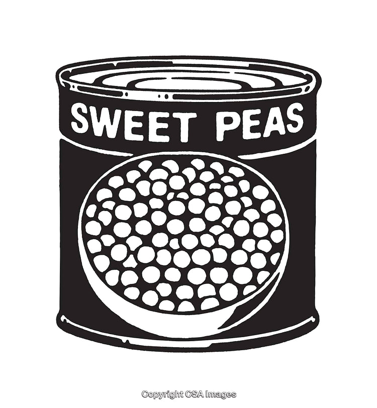 Vintage Style Black and White Sweet Peas Tin Illustration