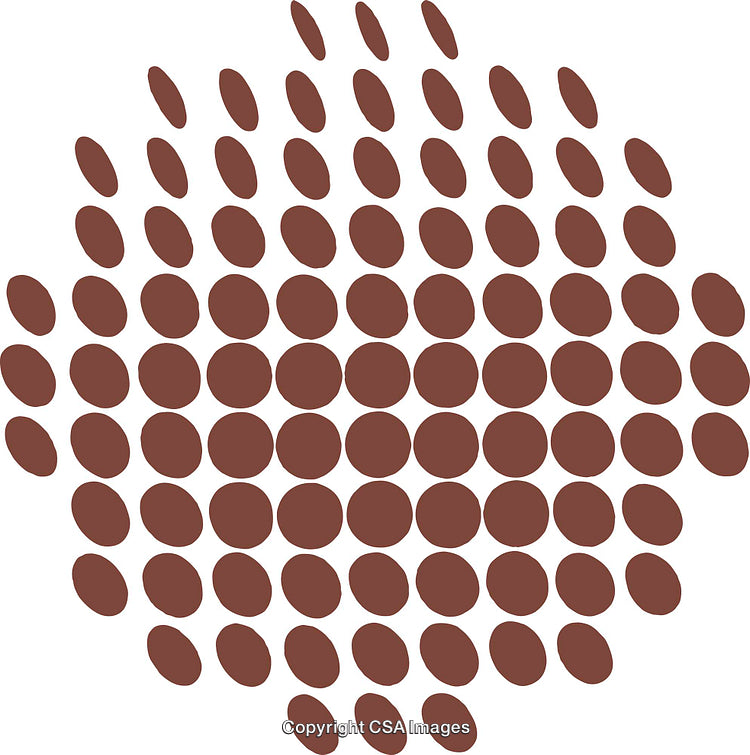 Abstract Arrangement of Brown Circle Patterns Forming a Unique Design