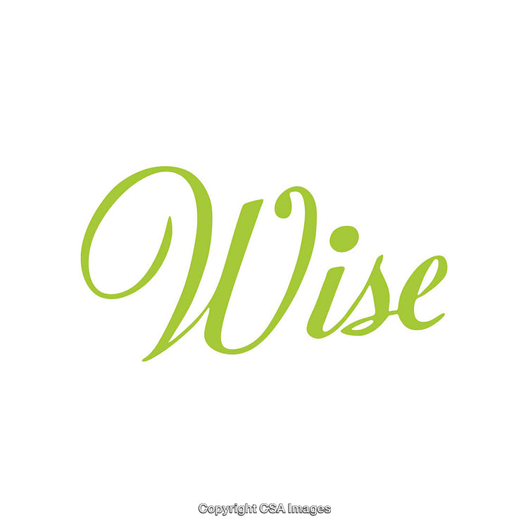 Green Elegant Script Typography Displaying the Word 'Wise' on a White Background