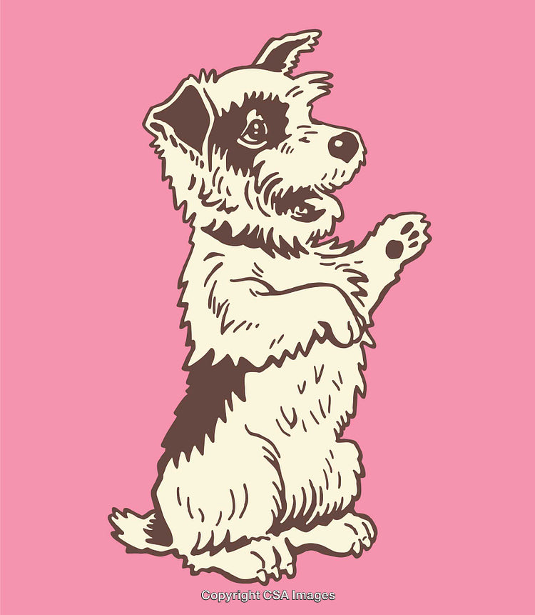 Illustration of Playful Dog in Artistic Line Art Design on Pink Background