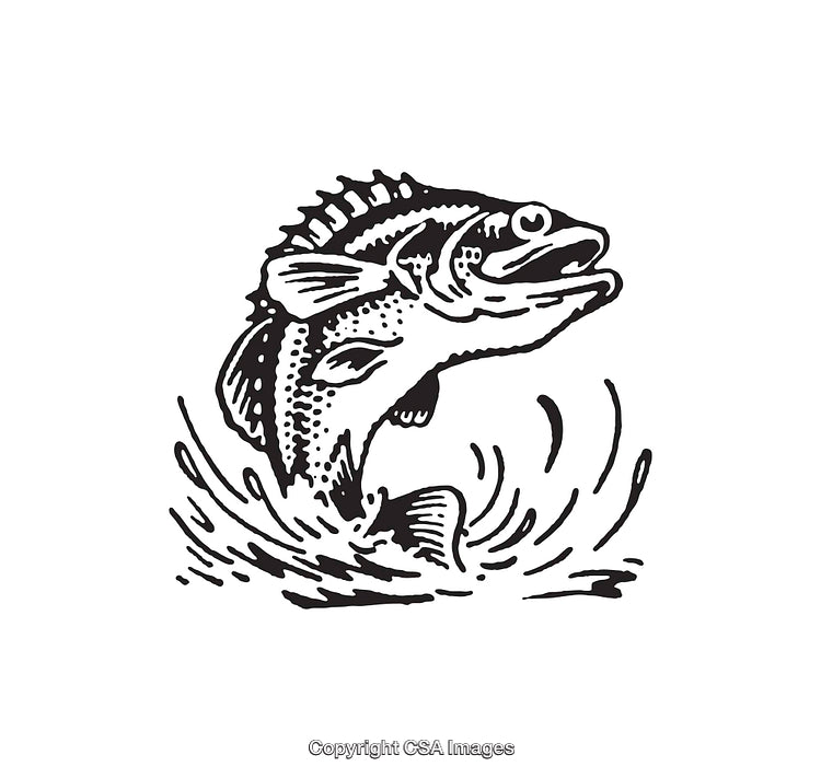 Black and White Line Art Illustration of a Leaping Fish with Splashing Water