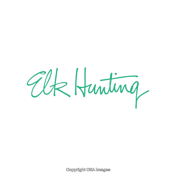 Elk Hunting Handwritten Decorative Text in Green on White Background