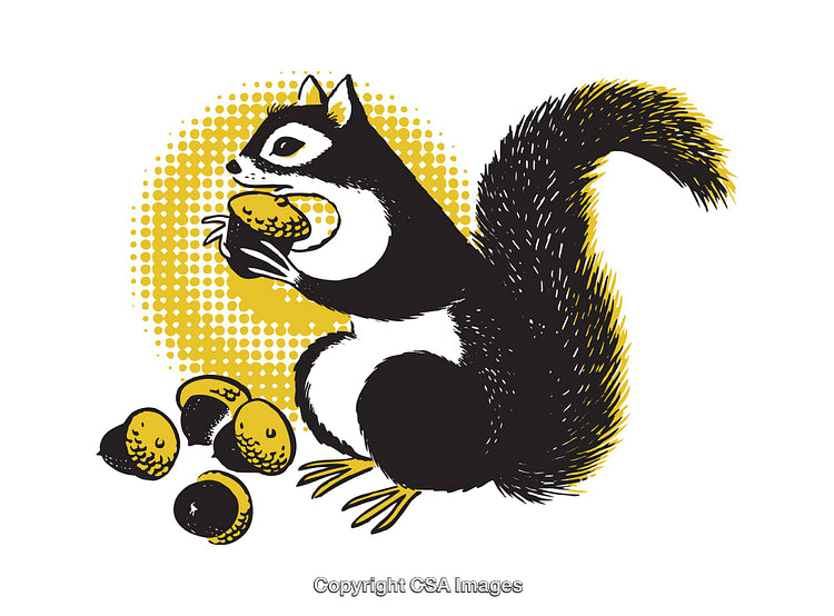 Illustrated Squirrel Holding Nut With Acorns Featuring Yellow and Black Tones