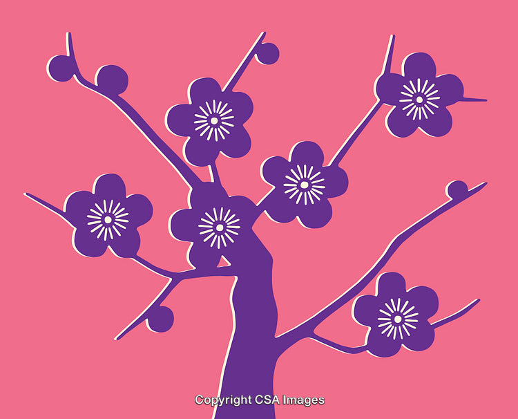 Illustration of Purple Blossoms on a Branch with Pink Background
