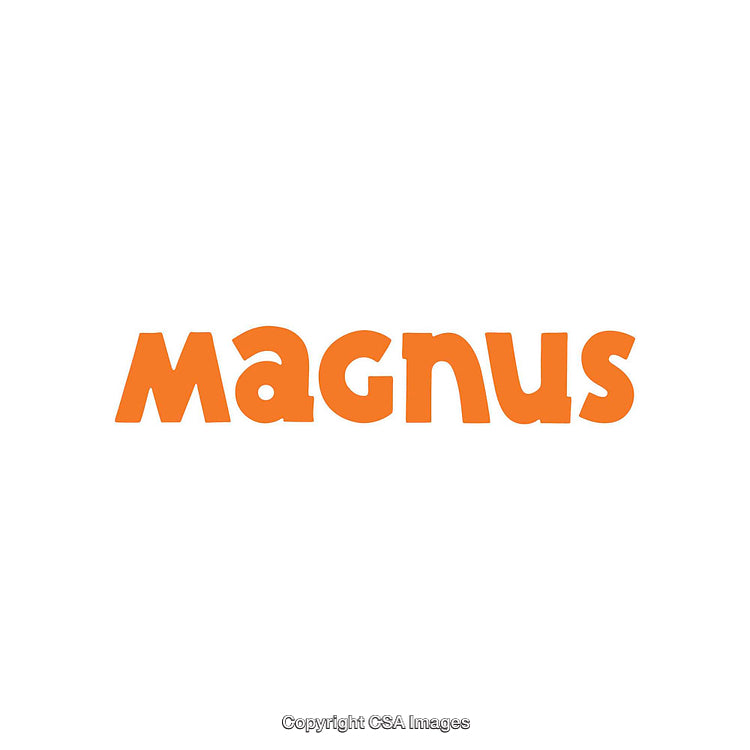 Orange Modern Bold Text Logo on a Clean White Background