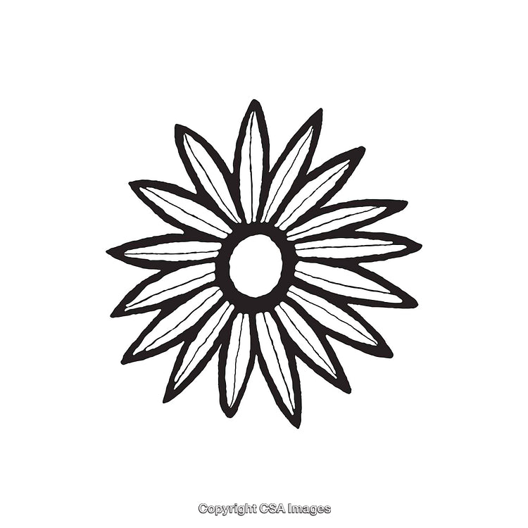 Abstract Black and White Sunflower Illustration with Simple Line Design