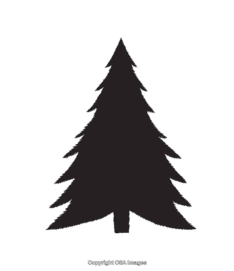 Black and White Silhouette of a Pine Tree Illustration