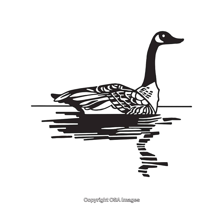 Black and White Line Art of a Goose Floating on Water