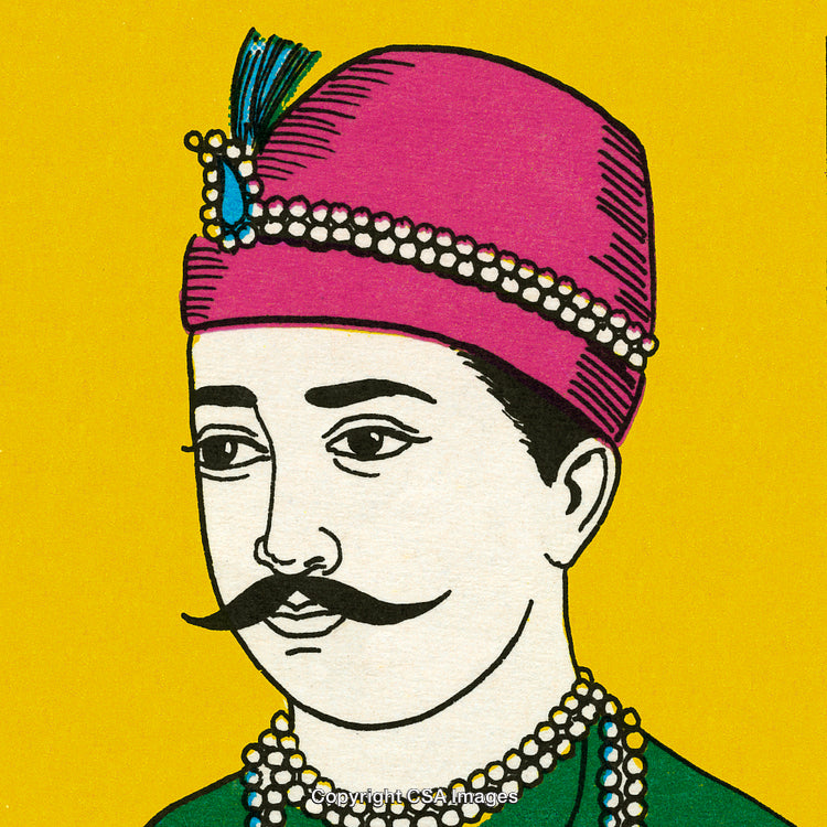 Traditional Illustration of a Regal Nobleman with a Vibrant Toned Background