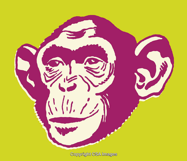 Colorful Monkey Illustration on a Bright Minimalist Background